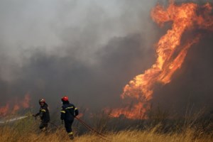 Ηλεία: Σε εξέλιξη η πυρκαγιά - Μάχη να κρατηθεί μακριά από σπίτια [Εικόνες+Βίντεο] - εικόνα 5