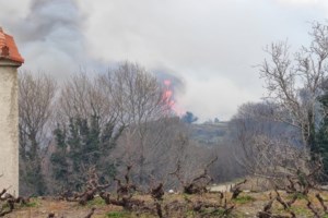 Χωρίς το ρωσικό Beriev στις πυρκαγιές φέτος λόγω Ουκρανίας - Ψάχνει άλλο αεροπλάνο η Ελλάδα