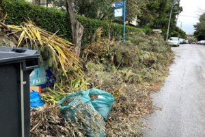 Κακοκαιρία "Μήδεια": Επικίνδυνα ηλεκτροφόρα καλώδια μέσα σε θάμνους στην Πάρνηθα - Τα απομεινάρια της καταστροφής