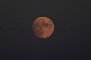 21 Σεπτεμβρίου: Ξεκινά επισήμως το φθινόπωρο την Τρίτη με τη φθινοπωρινή ισημερία