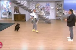 Ο Λάκης Γαβαλάς γιορτάζει την 25η Μαρτίου ντυμένος τσολιάς: Το σύνολο συμπληρώνει τσάντα στα χρώματα της γαλανόλευκης