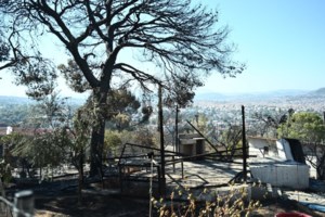 Πυρκαγιά σε γνωστό καφέ μπαρ της Πεντέλης - Μεγάλη επιχείρηση της Πυροσβεστικής [εικόνες]