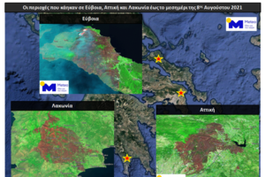 Παγώνη: Τα σωματίδια είναι ό,τι χειρότερο για το αναπνευστικό μας σύστημα - εικόνα 2