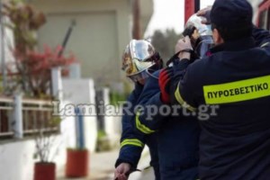 Φωτιά στον Πολυπόταμο Καρύστου στην Εύβοια - εικόνα 2