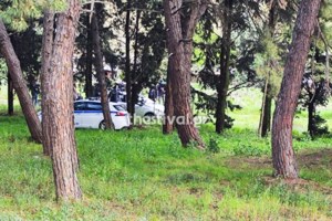 Έγκλημα στη Θεσσαλονίκη: Αυτός είναι ο 34χρονος που σκότωσε τη μητέρα του - "Δεν άντεχα άλλο τα ψυχολογικά της..." - εικόνα 2