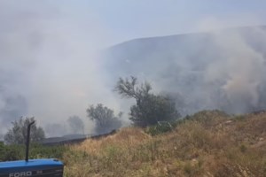 Υπό μερικό έλεγχο η φωτιά σε δασική έκταση στην Καλλιθέα Λουτρακίου