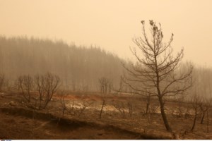 Φωτιά στον Ασπρόπυργο: Έκλεισε η Αττική Οδός - Αποπνικτική η ατμόσφαιρα από τον πυκνό καπνό