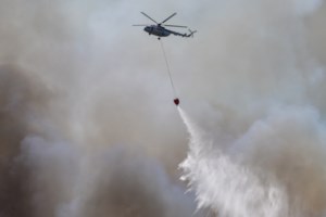 Συναγερμός στην Ηλεία: Νέα μεγάλη φωτιά στα Ζαχαραίικα - Ισχυροί άνεμοι στην περιοχή