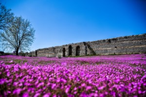 Αρνί στη σούβλα: Βήμα-βήμα όλα τα μυστικά για να πετύχει - Το δέσιμο, τα μπαχαρικά και το ψήσιμο - εικόνα 2
