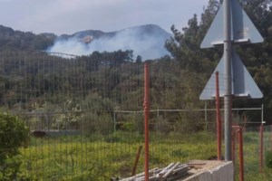 Συναγερμός για φωτιά στη Μεσσηνία: Πήρε γρήγορα διαστάσεις - Μεγάλη κινητοποίηση επίγειων και εναέριων δυνάμεων