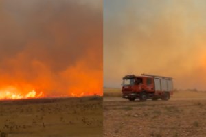 Πύρινος εφιάλτης σε Αττική και Βοιωτία: Η Megafire άφησε πίσω της πάνω από 100.000 στρέμματα στάχτη - εικόνα 2