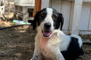 Τι συναισθήματα σάς προκαλεί αυτή η φωτογραφία; - εικόνα 2