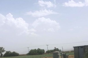 Νέα Φιλαδέλφεια: Καρέ- καρέ η ένοπλη ληστεία σε τράπεζα με όμηρο μία γυναίκα [Βίντεο]