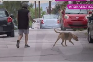 Στάθης Παναγιωτόπουλος: Γιατί μετατέθηκε η δίκη του 59χρονου παρουσιαστή για τα ροζ βίντεο της πρώην συντρόφου του