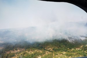 Φωτιά στη Δαδιά: Βίντεο με τον εφιαλτικό πυκνό καπνό - Παλεύουν με την πύρινη λαίλαπα οι πυροσβέστες - εικόνα 2