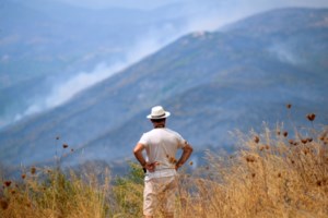 Φωτιές στην Ελλάδα: Δείτε live από δορυφόρο την πύρινη λαίλαπα στη χώρα