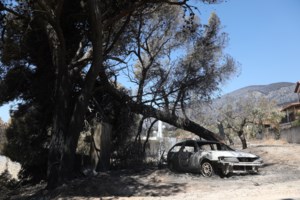 Ειδικοί προειδοποιούν: Αυτή είναι η πιο επικίνδυνη περίοδος για μεγάλες φωτιές στην Ελλάδα