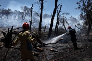 Φωτιά στην Πεντέλη: Ποιος είναι ο εμπρηστής στα Σπάτα που "'έπιασε" η κάμερα - Τα τρία σενάρια - εικόνα 3