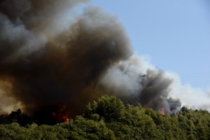 Φωτιά στην Αχαΐα: Ενεργοποιήθηκε η υπηρεσία Copernicus για την άμεση χαρτογράφηση της περιοχής της Αιγιαλείας - εικόνα 7