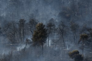 Φωτιά στις Κεχριές: Για ολιγωρία κάνει λόγο ο ΣΥΡΙΖΑ- Αβάσιμες οι κατηγορίες για τα εναέρια μέσα, λέει η πολιτική προστασία