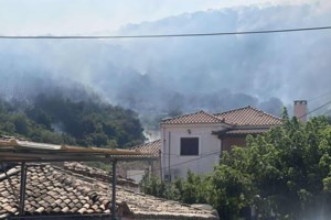 Μάχη με τις φλόγες στην Αρχαία Νεμέα, στη Βόνιτσα και τη Μεγάλη Βόλβη: Συναγερμός στην Πυροσβεστκή - εικόνα 2