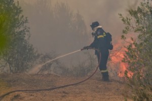 Υψηλός κίνδυνος για φωτιές τις επόμενες μέρες - Κολυδάς: Οι περιοχές που κινδυνεύουν από τον συνδυασμό ισχυροί άνεμοι - ζέστη - ξηρασία - εικόνα 4
