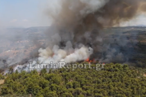 Σε ύφεση η πυρκαγιά στο Λαύριο - Υποψίες για εμπρησμό - Επιτόπου Κλιμάκιο της Διεύθυνσης Εγκλημάτων