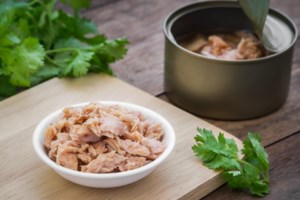 Πόσο ασφαλές είναι να τρώμε τόνο σε κονσέρβα - Ανησυχία μετά τη νέα έρευνα για τον υδράργυρο - εικόνα 3