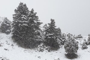 Η κακοκαιρία σαρώνει τη χώρα: Σε ποιες περιοχές θα χτυπήσουν οι καταιγίδες και οι χιονοπτώσεις [εικόνες]