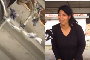 Μαχαίρωμα 19χρονου στα Χανιά: Εξιχνιάστηκε η απόπειρα δολοφονίας - Πέντε συλλήψεις