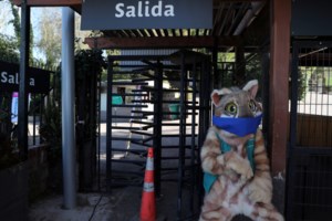 Θερίζει ο κορονοϊός: 929.391 νεκροί σε όλο τον κόσμο - Πάνω από 29 εκατ. τα κρούσματα - εικόνα 2