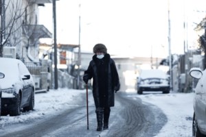 Αποτροπιασμός στο Κιλκίς: Κτηνοτρόφος εκτέλεσε σκύλο με καραμπίνα - Ισχυρίστηκε ότι το άτυχο ζώο ενοχλούσε το κοπάδι του