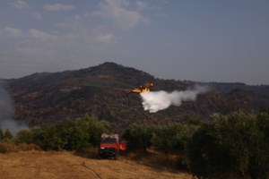 Φωτιές: Χωρίς ενεργό μέτωπο σε Γορτυνία, Ηλεία και Ανατολική Μάνη - Σε επιφυλακή η Πυροσβεστική