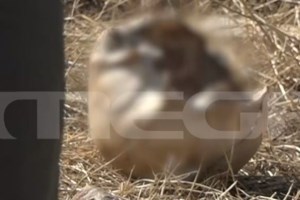 Εορτολόγιο: Ποια ονόματα γιορτάζουν σήμερα 21 Αυγούστου