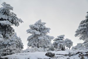 Πρόγνωση Μαρουσάκη: Ανοιξιάτικος καιρός με 18άρια από την Τετάρτη - Ψυχρή εισβολή το τελευταίο 10ήμερο του μήνα - εικόνα 2