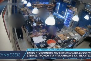 Βίντεο ντοκουμέντο: Ληστές στη Νέα Φιλαδέλφεια χτυπούν 52χρονη, της αρπάζουν την τσάντα και εξαφανίζονται