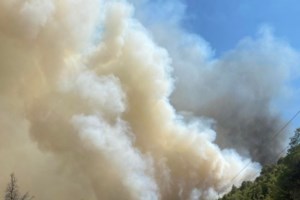 Σε ύφεση η πυρκαγιά στη Χαλκιδική – Παραμένουν ισχυρές πυροσβεστικές δυνάμεις στο σημείο