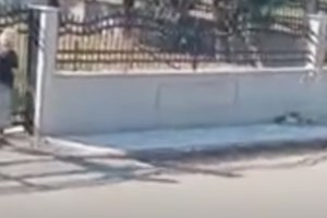 Μετανιωμένη δηλώνει η ηλικιωμένη που πέταξε μπαστούνι σε σκύλο - "Ήθελα μόνο να το τρομάξω" [βίντεο]