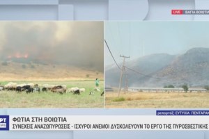 Μάχη με τις φλόγες για να μην καούν οι περιουσίες: Ανέβηκε σε σκεπή σπιτιού φίλου του στη Φυλή για να το σώσει - εικόνα 2