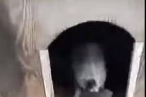 Κατερίνη: Απίστευτο - Βγήκε με φουσκωτό στρώμα θαλάσσης και καφέ σε πλημμυρισμένο δρόμο