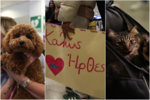 Στο Μαξίμου με τα κατοικίδιά τους οι Ελληνες που επαναπατρίστηκαν από τη Μ. Ανατολή -Συνάντηση με Μητσοτάκη [εικόνες] - εικόνα 3