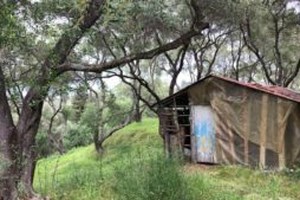 Κέρκυρα: Συνελήφθη ο "βιαστής του Κάβου" - Περίμενε την ΕΛ.ΑΣ. οπλισμένος
