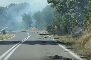 Μετράνε τις πληγές τους στη δυτική Φθιώτιδα - Πως ξέσπασε η μεγάλη φωτιά [εικόνες] - εικόνα 3