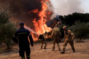 Αρκαδία-Ηλεία: Μέτωπο χιλιομέτρων στη Γορτυνία - Στις φλόγες τα χωριά, εικόνες καταστροφής στο Πυρρή - εικόνα 2