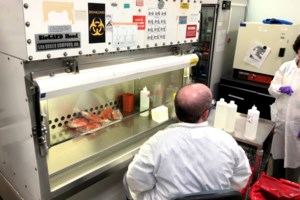 Πανελλαδικές 2020: Από σήμερα έως και 29/9 οι εγγραφές ηλεκτρονικά των επιτυχόντων - Οσα πρέπει να ξέρετε