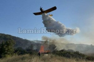 Φωτιά σε αποθήκη στον Ταύρο -Σπεύδει μεγάλη επίγεια δύναμη της Πυροσβεστικής