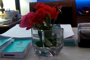 Δίκη Τοπαλούδη: Οργή δικηγόρων κατά της εισαγγελέως Δόγκα για την αγόρευσή της - Ζητούν να διωχθεί πειθαρχικά