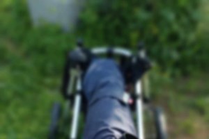 Κάποιοι τον πέταξαν στο δρόμο - Δεν του αξίζει να ζήσει ξεχασμένος