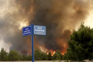 Φωτιά στο Τατόι: Τα κτίρια που υπέστησαν ζημιές πριν και μετά την πύρινη λαίλαπα [Εικόνες] - εικόνα 2