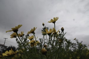 Υπάρχει επιστημονική εξήγηση για τον "μαύρο ουρανό" της Μεγάλης Παρασκευής; Τι λέει ο Θοδωρής Κολυδάς - εικόνα 3